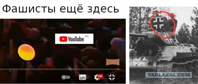Всяческие картинки 14.12.2021