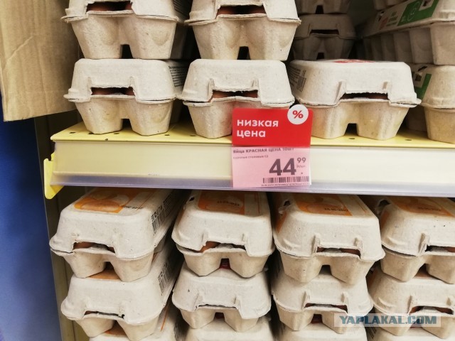 Меня к этому жизнь не готовила