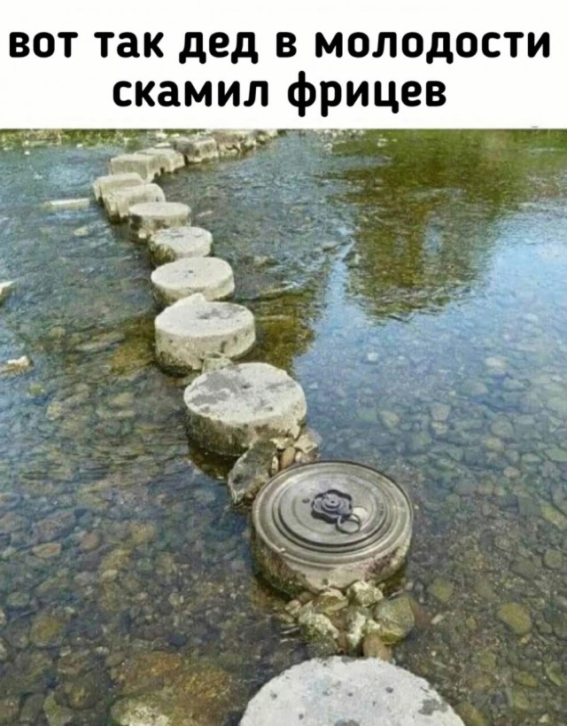 Весёлый полтишок 10.06.22
