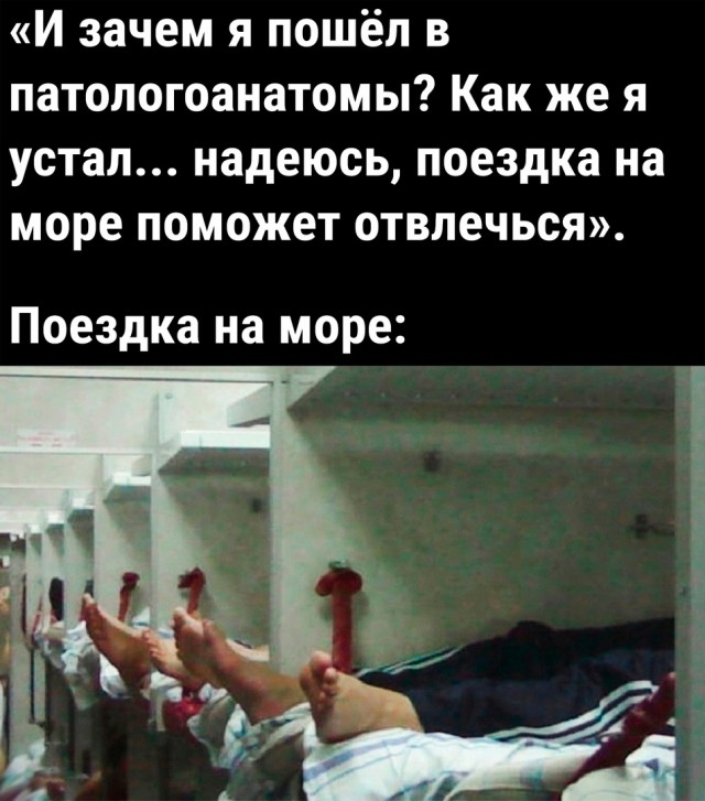 Так себе картинки 14.07.22