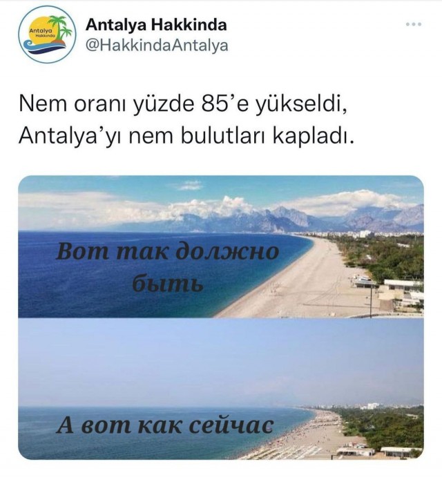 Пандемия съехавших крыш - разновидности болезни. Россия и мир. Часть 39.