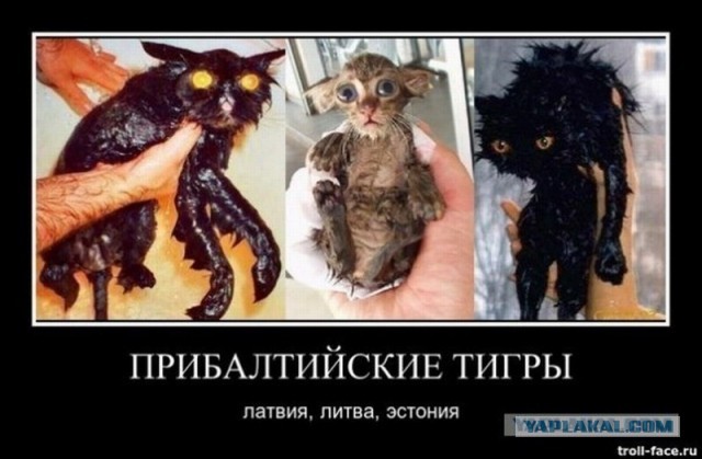 Эстония прекратила сегодня пропуск в страну российских граждан с шенгенскими визами, выданными эстонскими консульствами