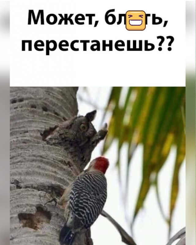 Картинки и мемы. Выходные близко...