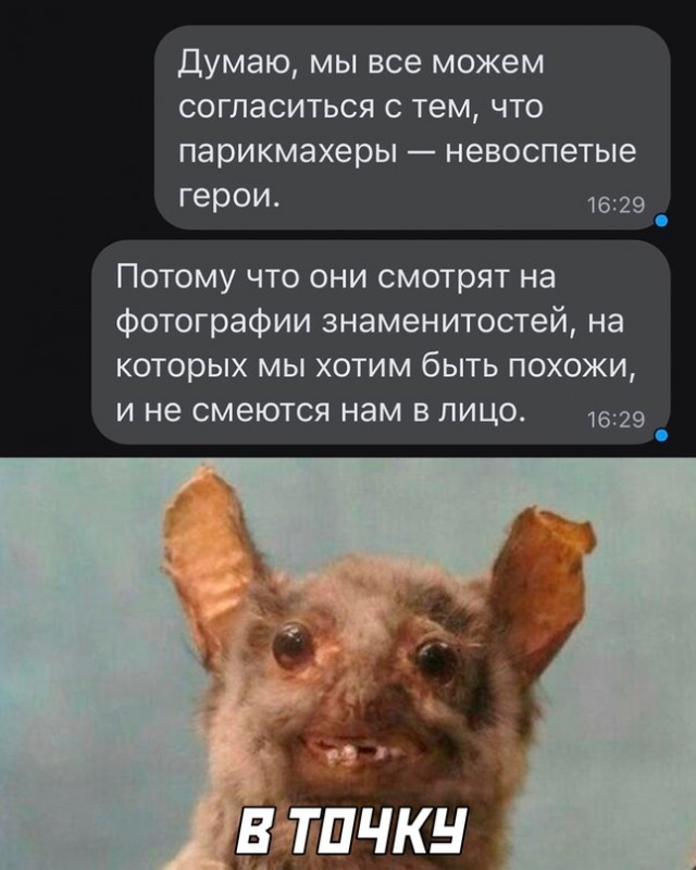 Весёлый полтишок 20.10.22