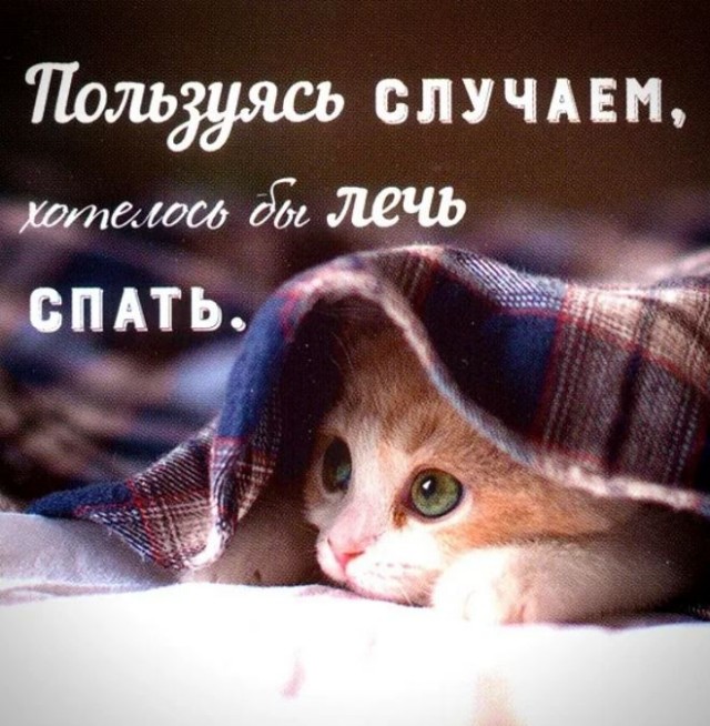 Победная поступь идиотизма по планете – том 3