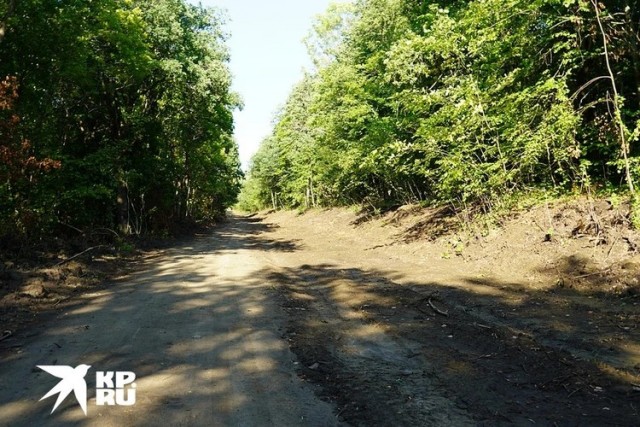 Сделал добро - получи срок: Суд вынес  приговор россиянину, который восстановил дорогу вместо чиновников