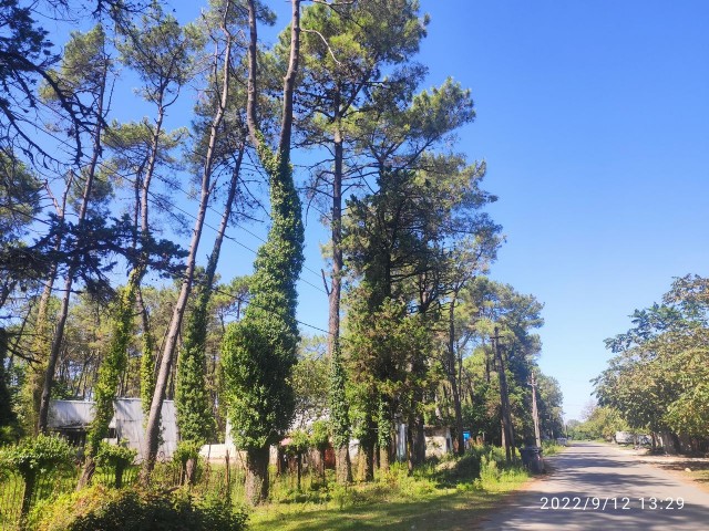 Мой Кавказ. Часть 2