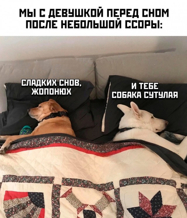 Немного картинок для настроения - 127