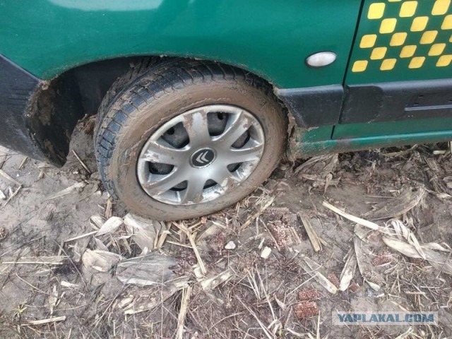 Жизнь домашнего приюта для котеек 431