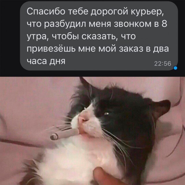 Картинки и мемы, всем хороших выходных