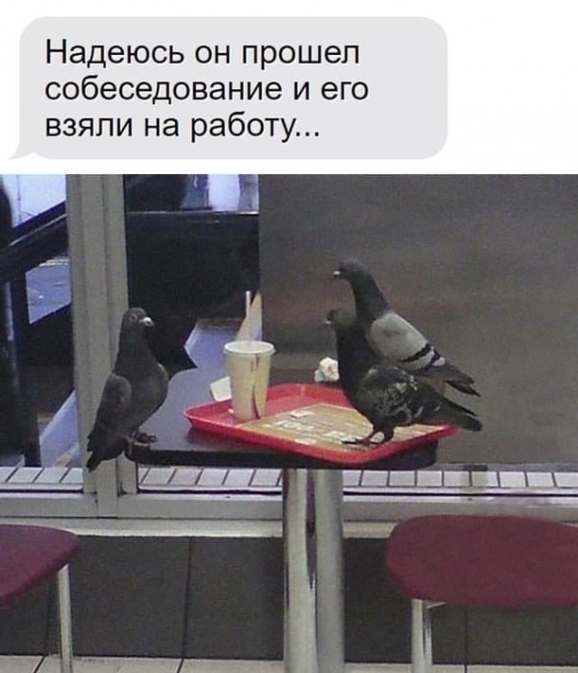 Так себе картинки 04.02.23