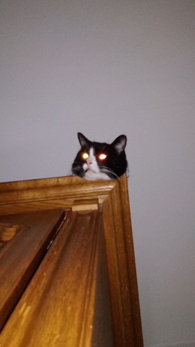 Совпало же? В котовторник