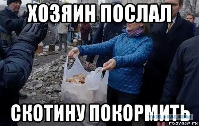 Как НАТО поддерживает Украину