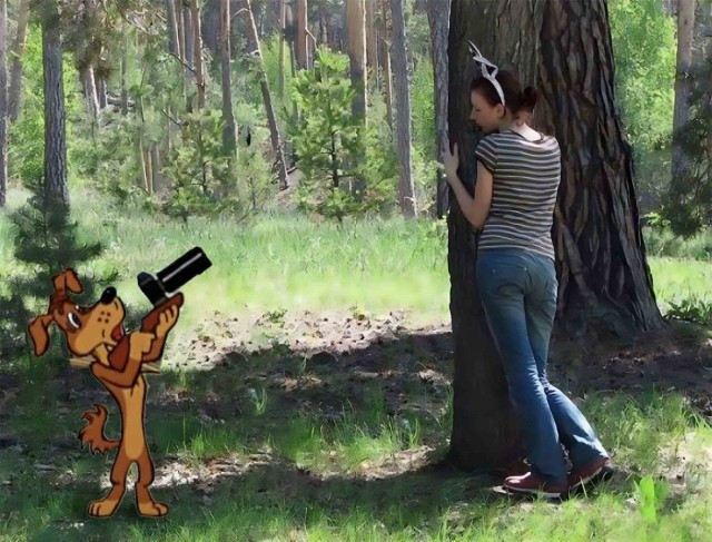 Фотожаба "Сними меня фотограф"