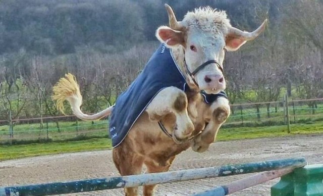 Подборка интересных и прикольных фото из Сети 01.04.23