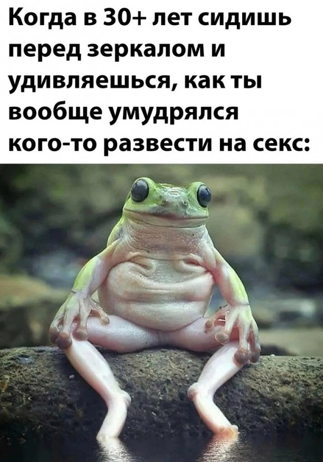 Так себе картинки 12.07.23