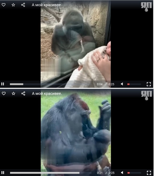 Посмотри на моего малыша!