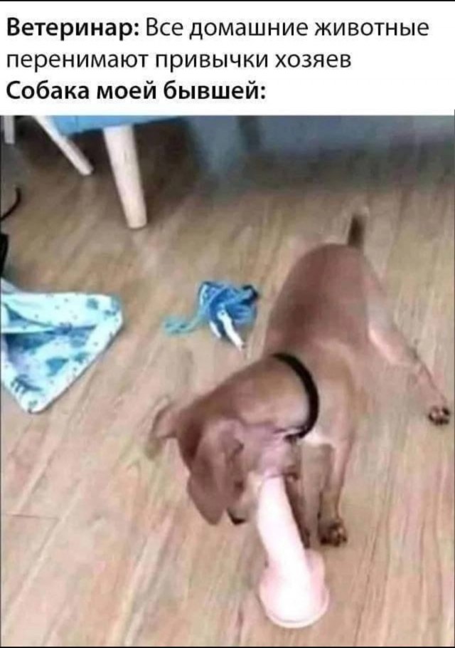 Французские учёные выяснили, что...
