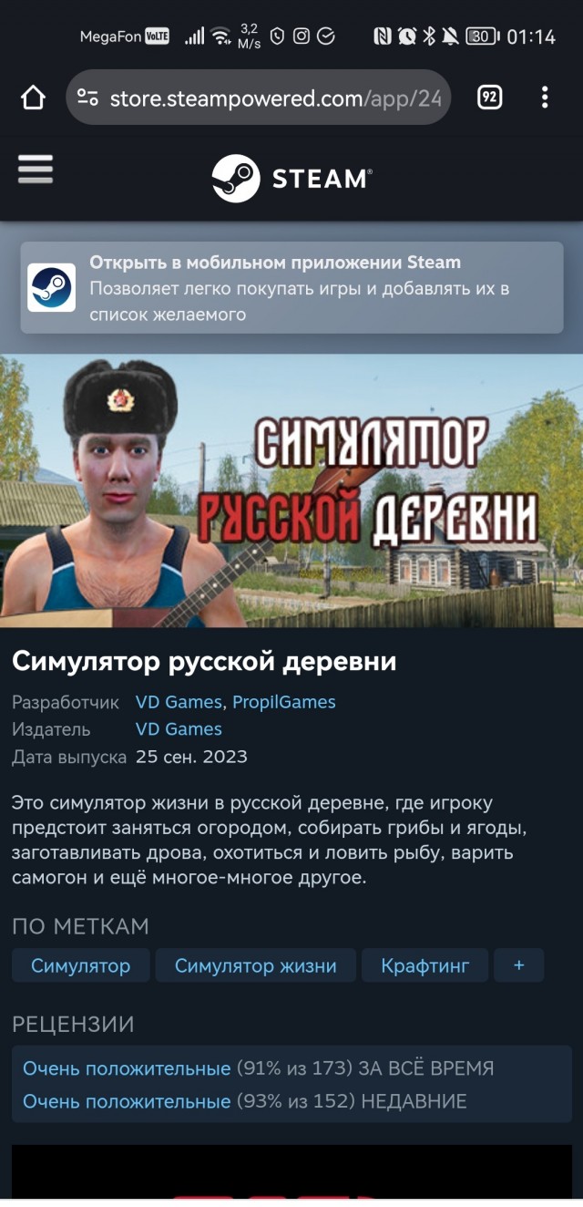 ТОП-10 странных компьютерных игрушек