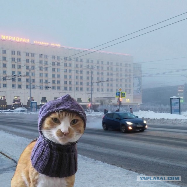 Как реагируют мужчины, когда узнают об измене жены?