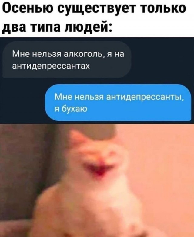 Отряд быстрого деградирования
