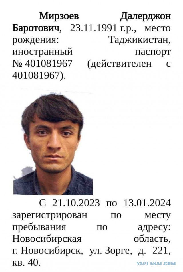 Задержание террориста