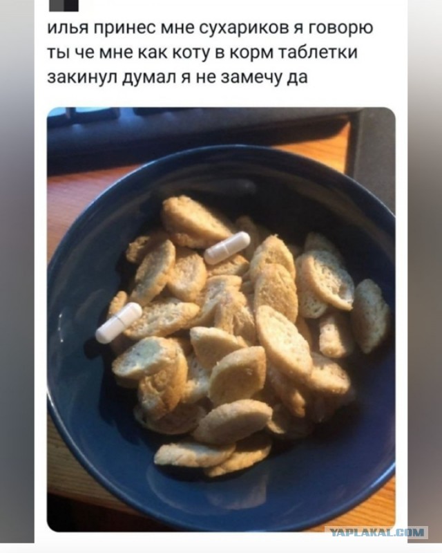 Нуштош 20.06.2024