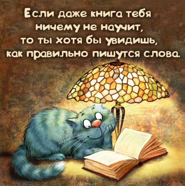 Коты минской художницы Ирины Зенюк