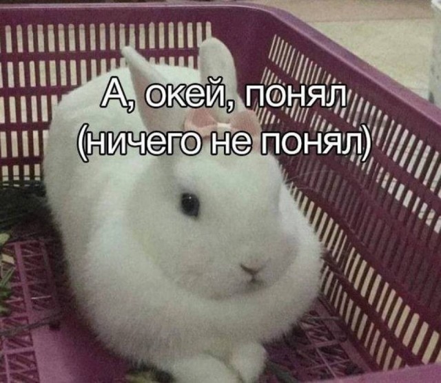 Нуштош 29.07.2024