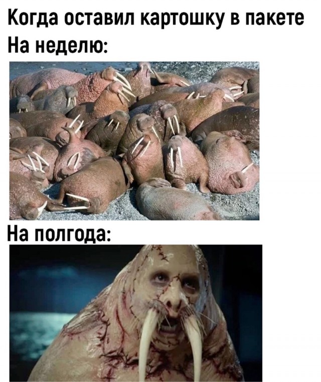 Завалялось тут случайно немного забавных картинок