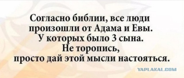 Весёлый полтишок 12.09.24