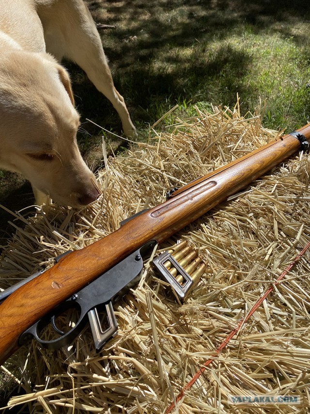 Винтовка Steyr Mannlicher M1895
