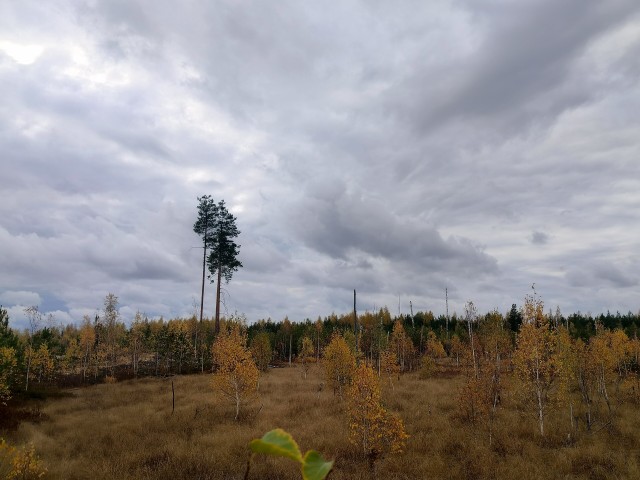 Осень на озёрах 2