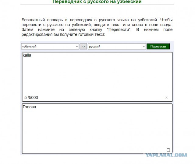 Во ВГИКЕ студенты из Узбекистана избили толпой и сломали нос местному студенту.