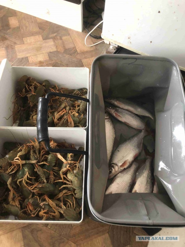 Дача, рукоделие, стройка
