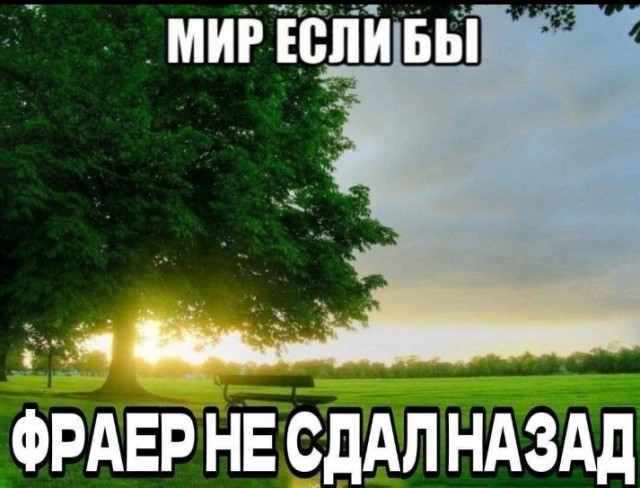 Всего понемногу. От 04.12.2024
