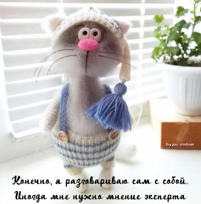 Так себе картинки 21.12.24