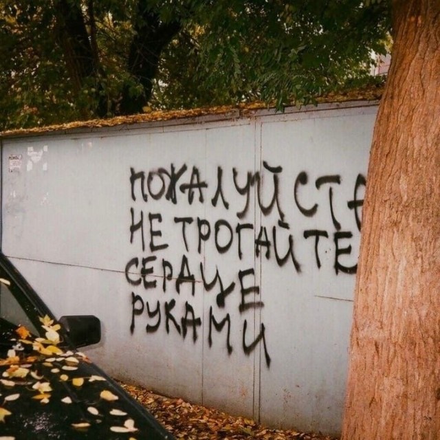 Прикольные и просто красивые картинки 10.01.2025