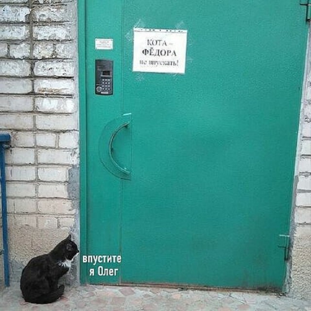 Так себе картинки 13.03.25