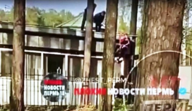 Новые подробности гибели восемнадцатилетней девушки в Перми