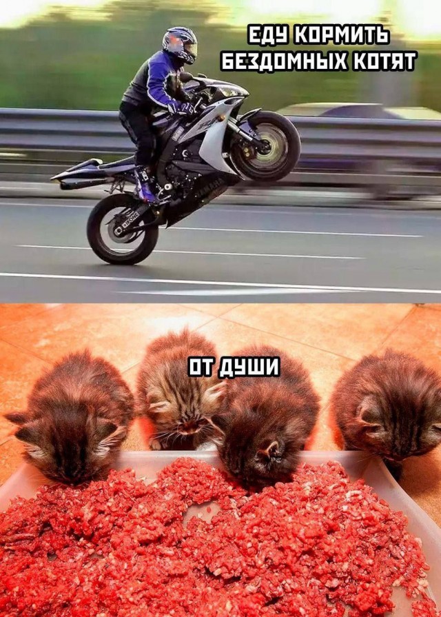 Сеня, дичь!