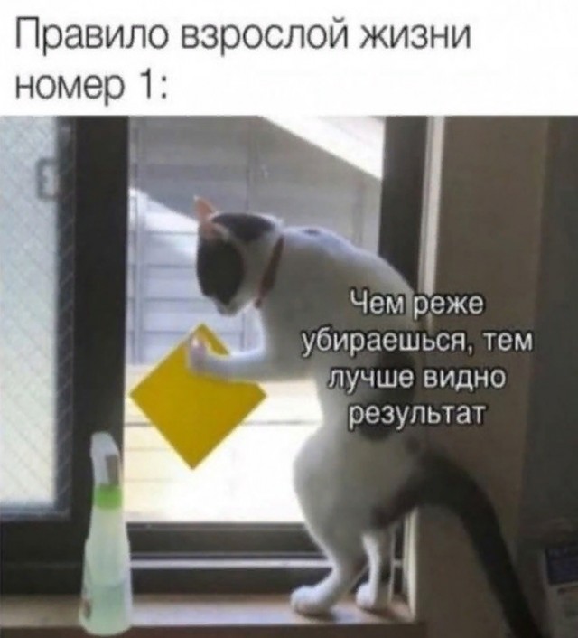 Так себе картинки 29.07.25