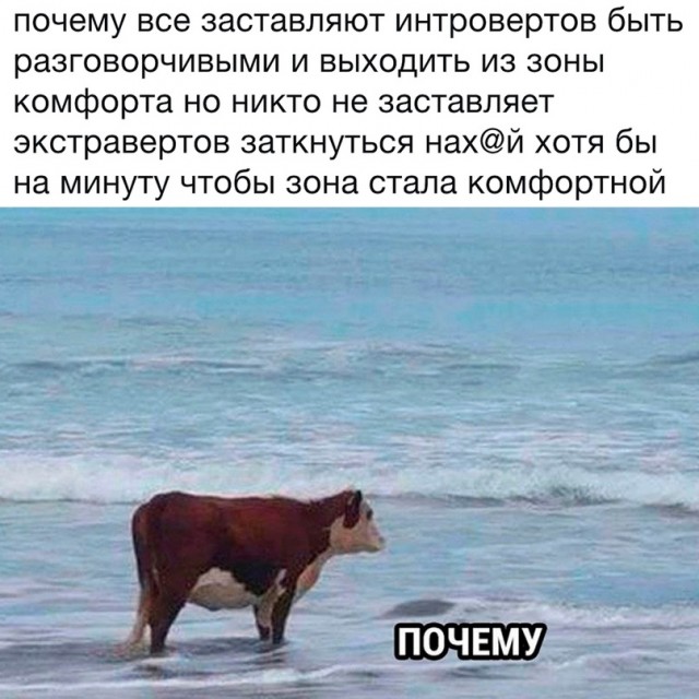 Картинки для деградации 16 (разной степени свежести)