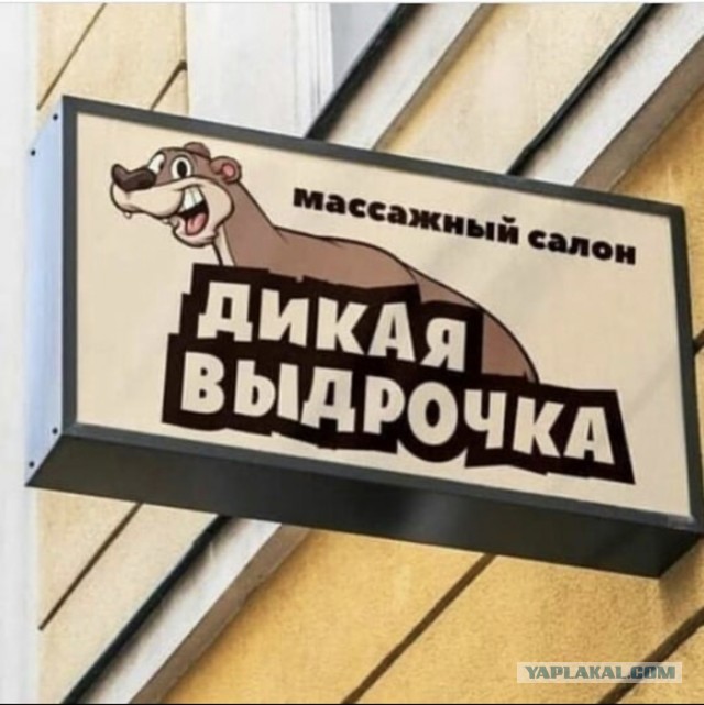 О выдре