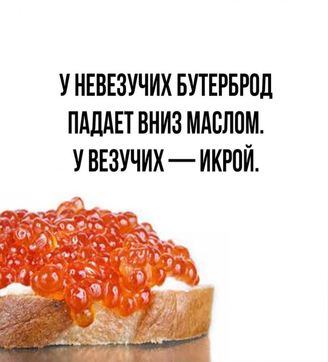 Картинки для деградации 33 (разной степени свежести)