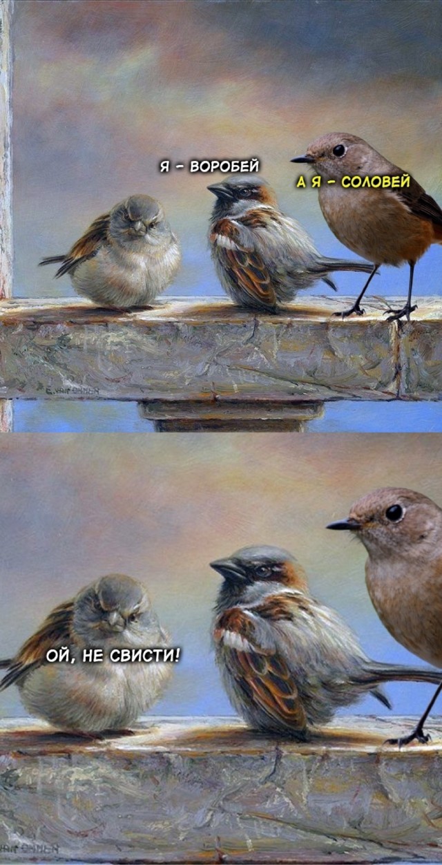 Воскресные картинки