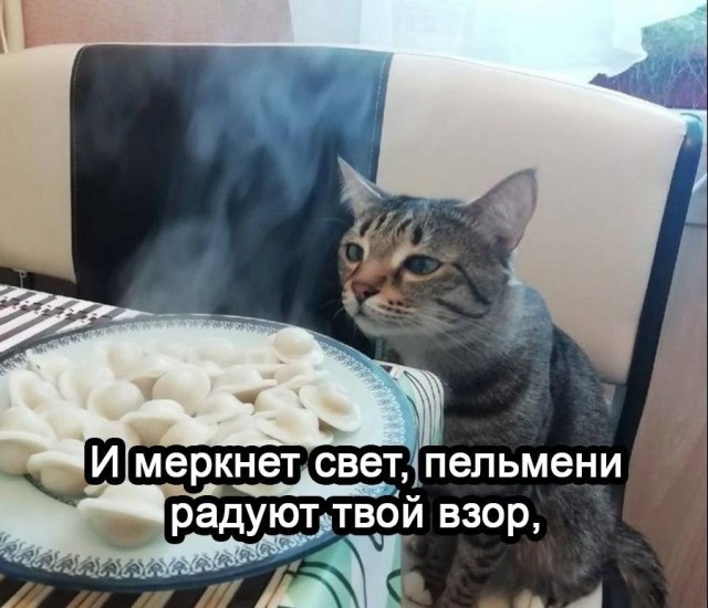 Музыкальный мем