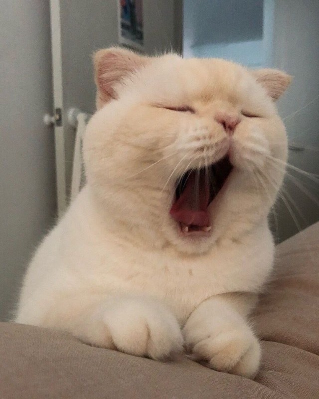 Чё тут делаете?