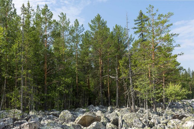 Деревенская Америка - 10