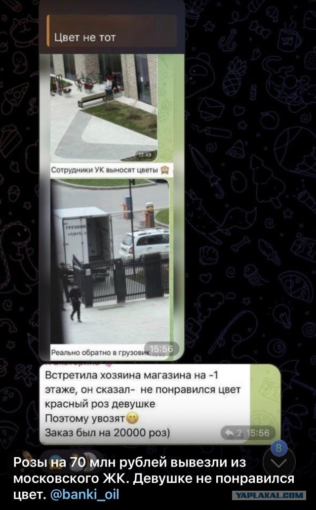 10 тысяч красных роз за 2,5 млн рублей обнаружили в холле ЖК на Винницкой улице